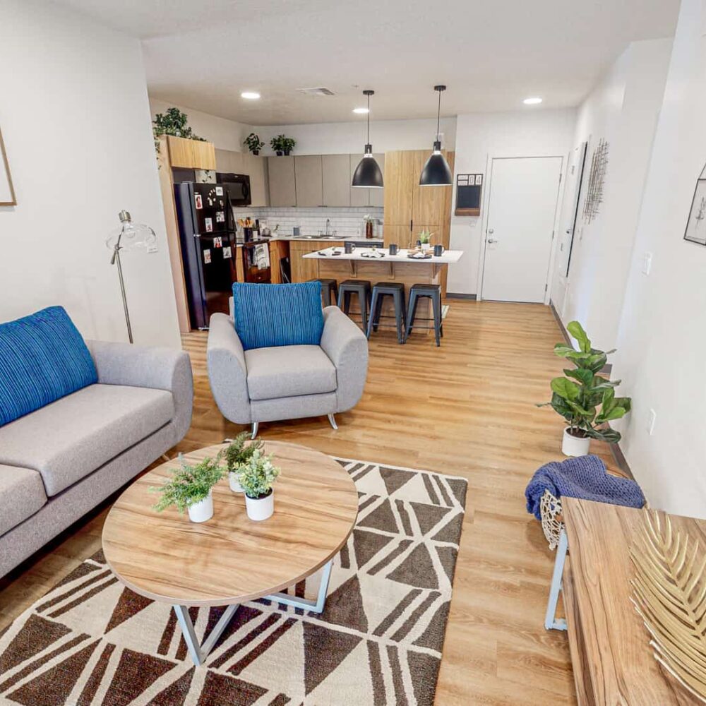 Luxury apartment kitchen & living room